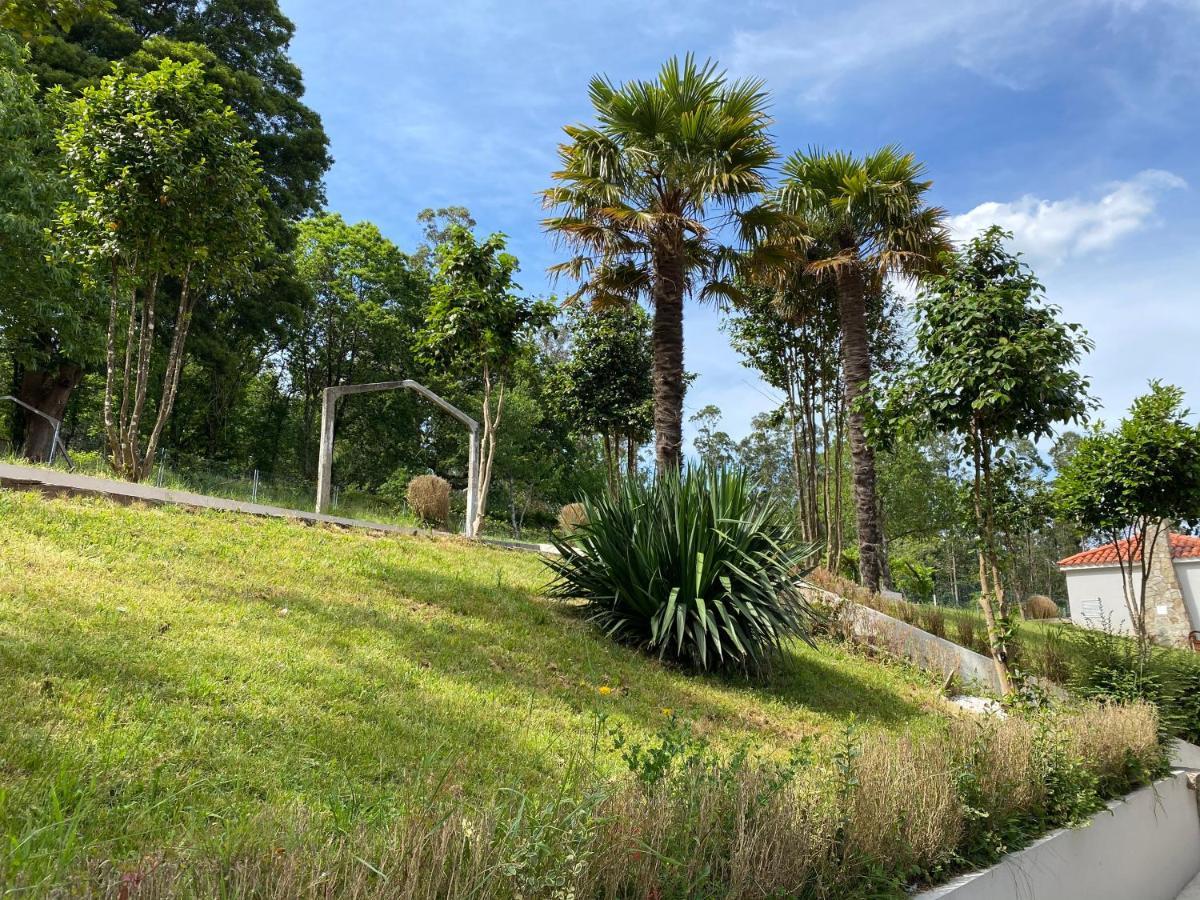 Mirador De Hostel